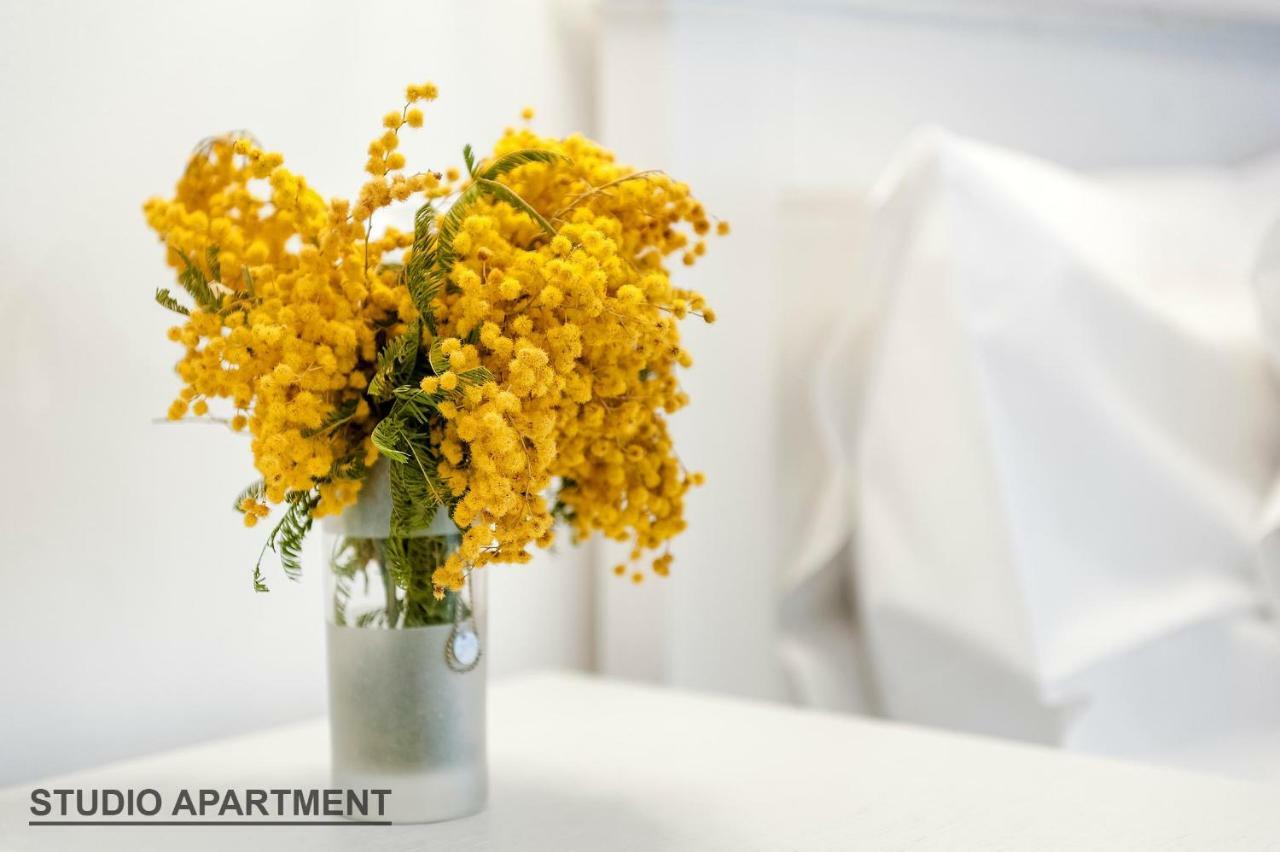 Apartments Rialto Gallery Šibenik Eksteriør billede